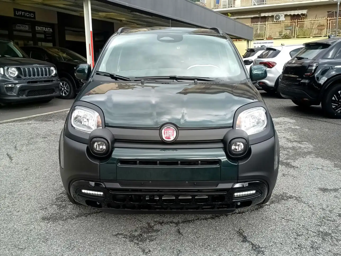 Fiat Panda 1.0 Hybrid Pandina - KM. ZERO - PRONTA CONSEGNA Vert - 2