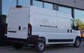 Iveco Iveco eSuperJolly 35 L3H2 - Schwingsitz Weiß - thumbnail 2