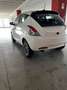 Lancia Ypsilon 1.0 FireFly 5 porte S&S Hybrid Platino Bianco - thumbnail 10