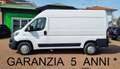 Fiat Ducato 35 MH2 3,0 CNG  B+METANO L2-H2 GARANZIA 5 ANNI !!! Blanco - thumbnail 1