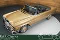 Mercedes-Benz 280 SE Flachkuhler Cabriolet | 1971 Braun - thumbnail 1