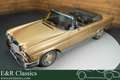Mercedes-Benz 280 SE Flachkuhler Cabriolet | 1971 Braun - thumbnail 8