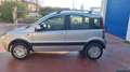 Fiat Panda PANDA 1.4 BENZINA METANO,KM 97700,X NEOPATENTATI Gris - thumbnail 1