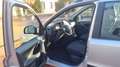 Fiat Panda PANDA 1.4 BENZINA METANO,KM 97700,X NEOPATENTATI Gris - thumbnail 6