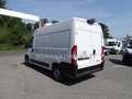 Opel Movano 140CV COIBENTATO + FRIGO IN ATP FRCX E MENSOLE Bianco - thumbnail 3