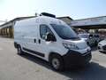 Opel Movano 140CV COIBENTATO + FRIGO IN ATP FRCX E MENSOLE Bianco - thumbnail 1