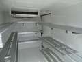 Opel Movano 140CV COIBENTATO + FRIGO IN ATP FRCX E MENSOLE Bianco - thumbnail 9