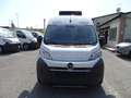 Opel Movano 140CV COIBENTATO + FRIGO IN ATP FRCX E MENSOLE Bianco - thumbnail 2