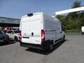 Opel Movano 140CV COIBENTATO + FRIGO IN ATP FRCX E MENSOLE Bianco - thumbnail 12