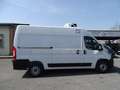 Opel Movano 140CV COIBENTATO + FRIGO IN ATP FRCX E MENSOLE Bianco - thumbnail 13