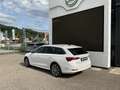 Skoda Octavia Premium TDI Blanc - thumbnail 4
