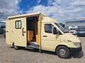 Mercedes-Benz Sprinter 311 CDI Sprinter 903.621 Sprintshift Beige - thumbnail 6