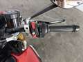 Ducati MONSTER SP 937CC Rosso - thumbnail 8