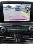 Ford Kuga Kuga 2.5 phev Vignale  225cv e-shifter Rot - thumbnail 4