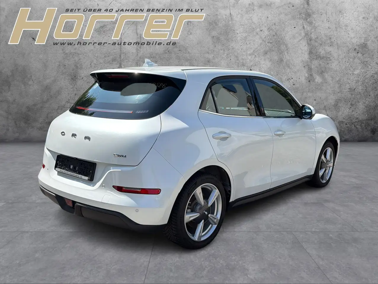 Ora Funky Cat 2024