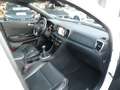 Kia Sportage Sportage IV 2016 1.7 crdi GT Line 2wd 115cv Bianco - thumbnail 16