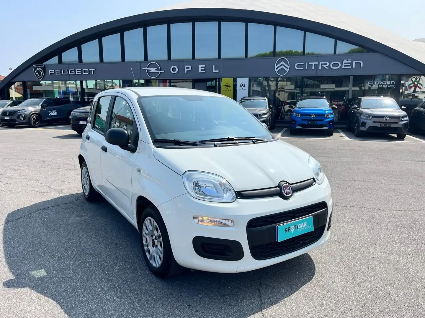 Fiat Panda 1.2 Easy Bianco - 1