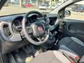 Fiat Panda 1.2 Easy Bianco - thumbnail 9