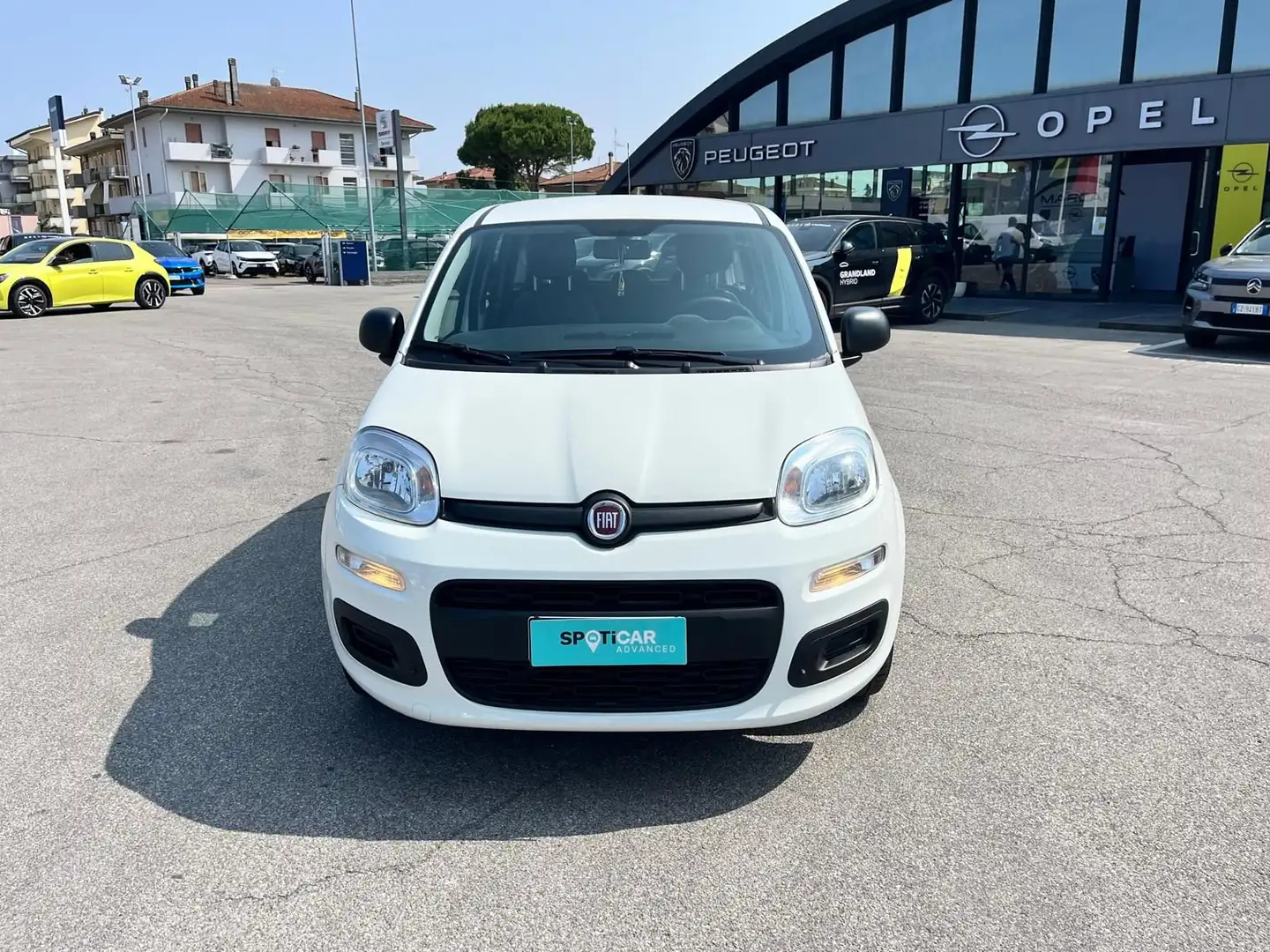 Fiat Panda 1.2 Easy Bianco - 2