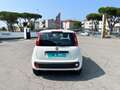 Fiat Panda 1.2 Easy Bianco - thumbnail 5