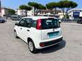 Fiat Panda 1.2 Easy Bianco - thumbnail 4