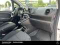 Mercedes-Benz Citan Citan 112 CDI Kasten BASE NAVI KLIMA KAMERA MBUX Weiß - thumbnail 13