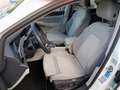Volkswagen Golf VIII Variant Style 2.0 TDI+Sitzheizung+Sportsitze+ Weiß - thumbnail 21