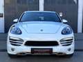Porsche Cayenne Diesel 3.0 V6 Weiß - thumbnail 4