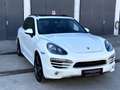 Porsche Cayenne Diesel 3.0 V6 Weiß - thumbnail 2