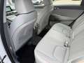 Hyundai NEXO Basis*Auto*Klimaau*Panorama*Leder*LED*1 Han Weiß - thumbnail 13