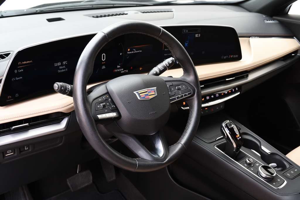 Image 11