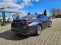 Lexus ES 300 h Luxury Line Glasdach HUD 4xSHZ SpurH Gri - thumbnail 8