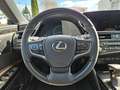 Lexus ES 300 h Luxury Line Glasdach HUD 4xSHZ SpurH Grau - thumbnail 19
