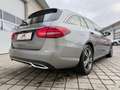 Mercedes-Benz C 200 C 200 T BlueTEC Avantgarde A-Edition Aut. Gris - thumbnail 9