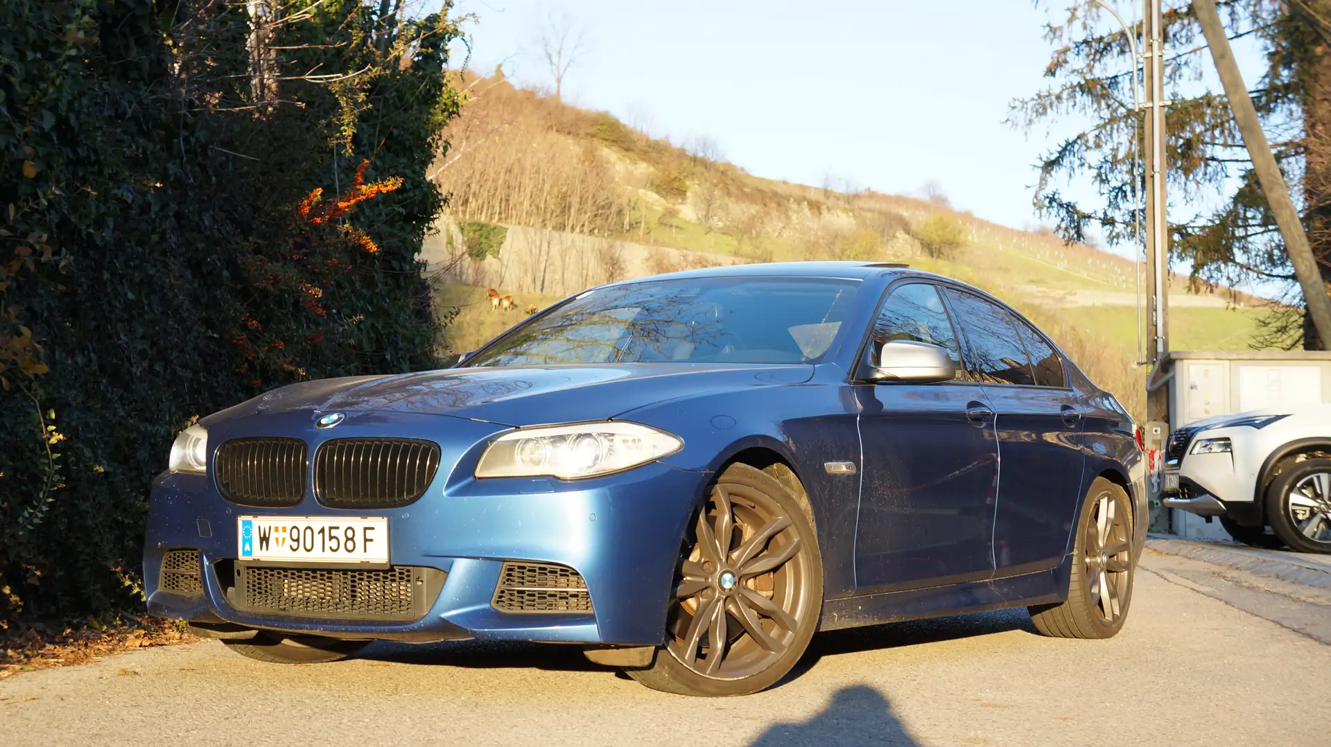 BMW M550 Motor Neu Blau - 2