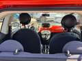 Fiat 500 1.0 FireFly Hybrid 70cv Cult Orange - thumbnail 8