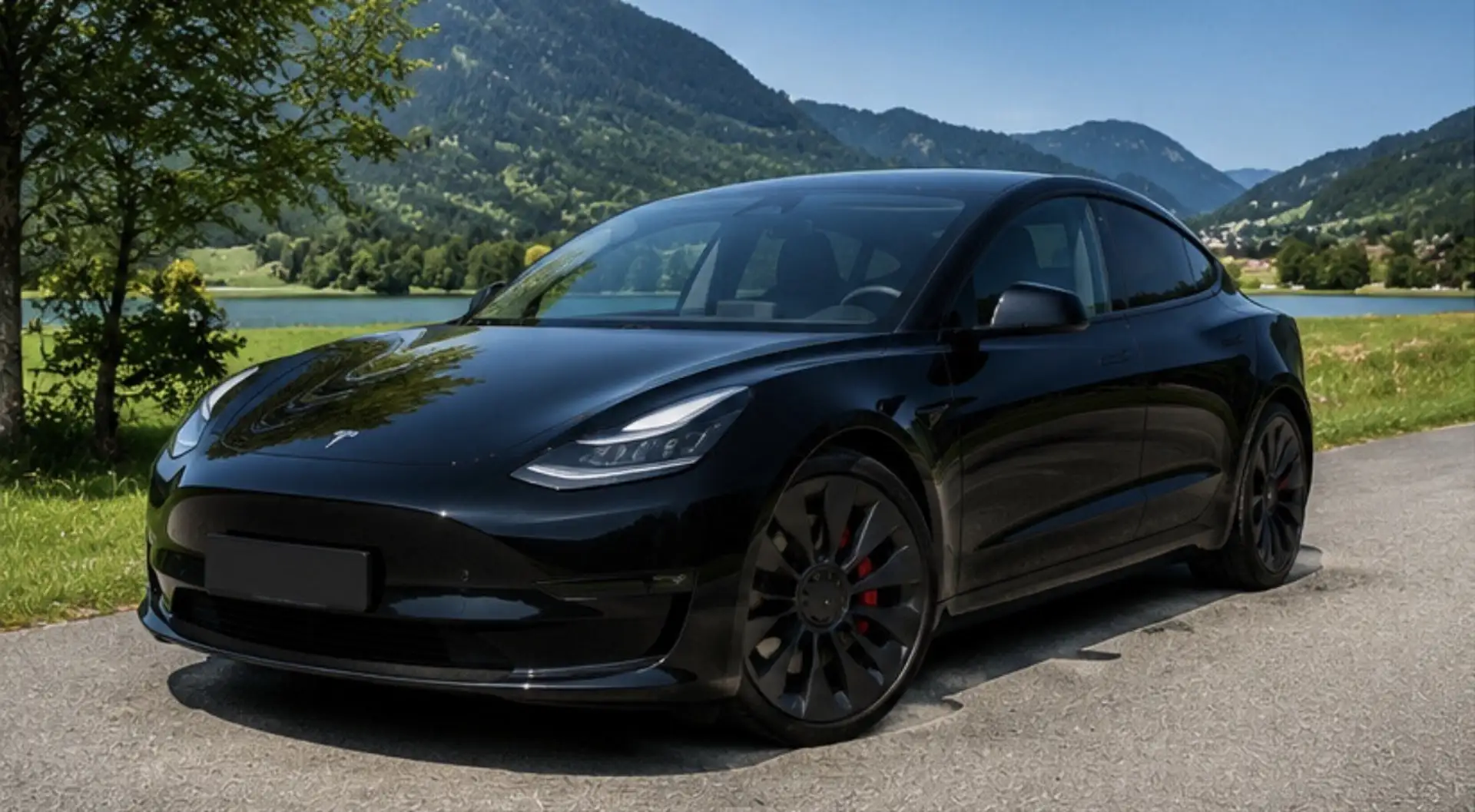 Tesla Model 3 Performance AWD 82kW - 1
