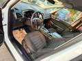 Ford Galaxy Weiß - thumbnail 14