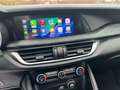 Alfa Romeo Stelvio 2.2 TD 160CV -TETTO APRIBILE-PINZE GIALLE Blu/Azzurro - thumbnail 9
