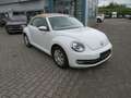 Volkswagen Beetle Design BMT Cabriolet (5C7) Weiß - thumbnail 3