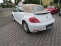 Volkswagen Beetle Design BMT Cabriolet (5C7) Blanc - thumbnail 13