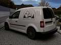 Volkswagen Caddy Caddy Kombi 1,6 TDI DPF Weiß - thumbnail 2