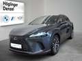 Lexus RX 450h + E-four Luxury Line Blau - thumbnail 1