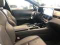 Lexus RX 450h + E-four Luxury Line Blau - thumbnail 12