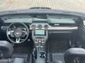 Ford Mustang Cabrio 2,3 Eco Boost Shelby Kamera Navi Black - thumbnail 13