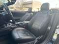 Ford Mustang Cabrio 2,3 Eco Boost Shelby Kamera Navi Black - thumbnail 12