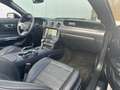 Ford Mustang Cabrio 2,3 Eco Boost Shelby Kamera Navi Black - thumbnail 14