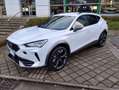 CUPRA Formentor Formentor 2.0 tdi 150cv Bianco - thumbnail 1
