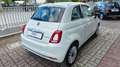 Fiat 500 1.0 hybrid Dolcevita 70cv BURATTI PREMIUM Bianco - thumbnail 5