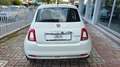 Fiat 500 1.0 hybrid Dolcevita 70cv BURATTI PREMIUM Bianco - thumbnail 4